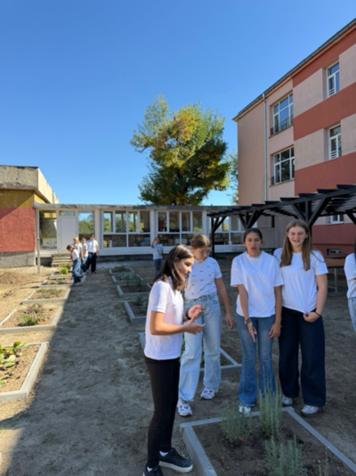 VI а клас на час на класа в зелената класна стая